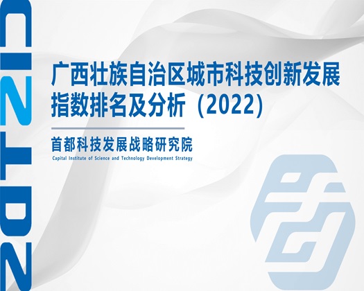 我要操B视频【成果发布】广西壮族自治区城市科技创新发展指数排名及分析（2022）